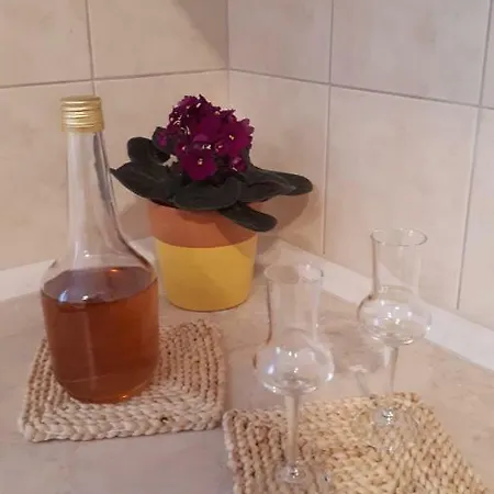 Apartament Stulic *