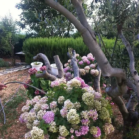 Stulic Apartament Makarska